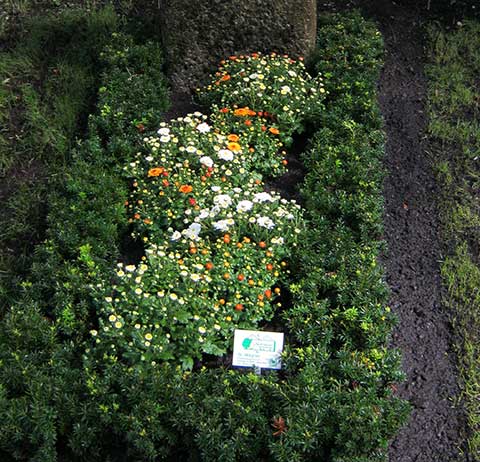Grabstätte mit Blumen München